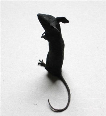 Mouse Fur Mouse