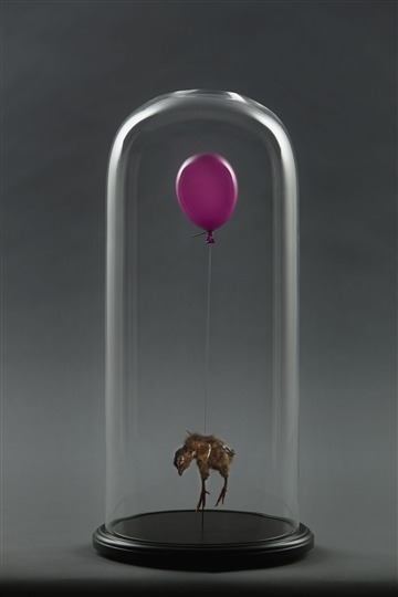 Still Birth - Purple