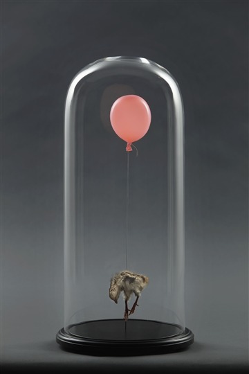 Still Birth - Pink